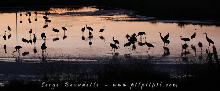 2009-01-04 18-11-48__MG_0259.JPG